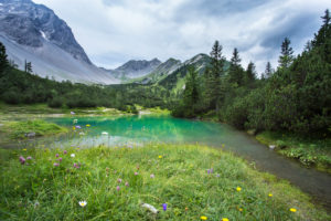 Summit, debris field, lake, flower meadow, mountain lake Summit, debris field, lake, flower meadow, mountain lake